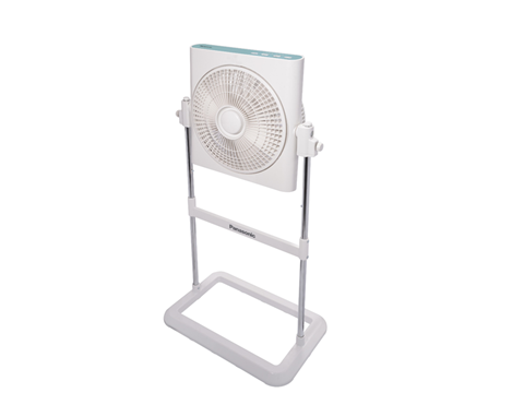 斑麗扇 (30厘米/12吋)