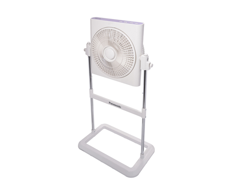 斑麗扇 (30厘米/12吋)