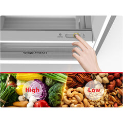 Toshiba 東芝 GR-RT416WE-PMA(06) 313公升 雙門 變頻上置式雪櫃