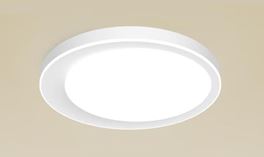 HHXZ4660 LED 天花燈 (36W)