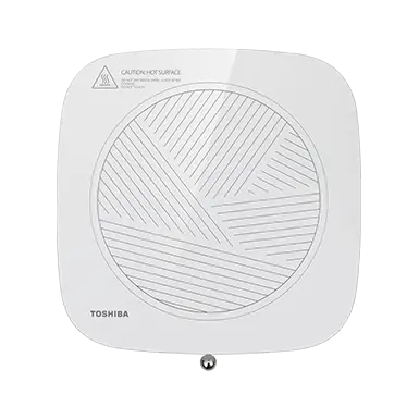 IC-21TSHK