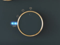 蒸氣掛熨機 (2,400瓦特)