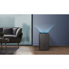 Electrolux 伊萊克斯 ED1251DC 24公升 UltimateHome500 2合1 空氣淨化抽濕機 (沉穩灰)
