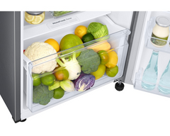 Samsung 三星 RT25F4013S8/SH 255公升 雙門 上置式變頻雪櫃 (連Coolpack層)