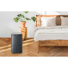 Electrolux 伊萊克斯 ED1251DC 24公升 UltimateHome500 2合1 空氣淨化抽濕機 (沉穩灰)